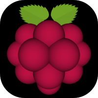 Very Raspberry