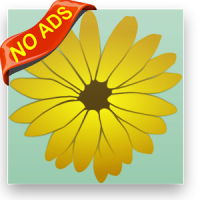Flowers Match No Ads