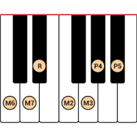 DG Piano Scales