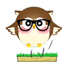 Süße Jumper Owl
