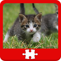 Cats and Kittens Puzzles