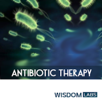 Antibiotic Therapy