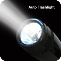 Auto Flashlight