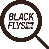 ブラックフライ-カラフルなクール検索ウィジェット！無料