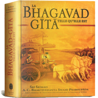 Bhagavad Gita (Português)