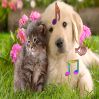 Dog and Cat Singing