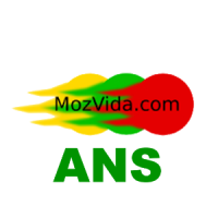 MozVida Ans