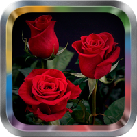 Rose Flower Live Wallpaper Pro