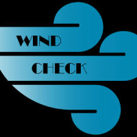 Wind Check (Boeing 737)