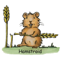 Hamstroid