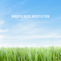 Mindfulness Meditation SE