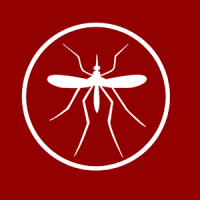 Dengue - Manejo Clínico