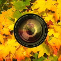 Aki Camera -Autumn & halloween