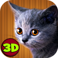 Home Kitten Simulator 3D