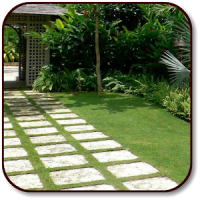 Garden Design Ideas