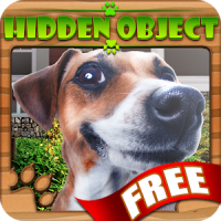 Hidden Object