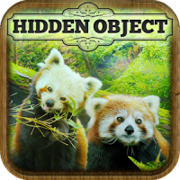 Hidden Object