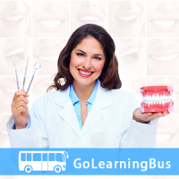 Learn Dentistry