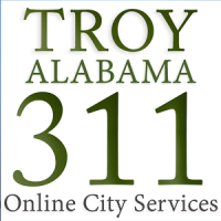 Troy311