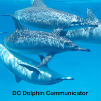 DC Dolphin Comm Legacy