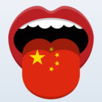 Learn Chinese Phrasebook