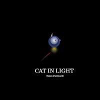 CatInLight