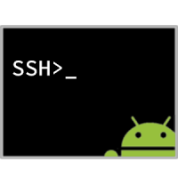 SSH Console