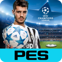 PES COLLECTION