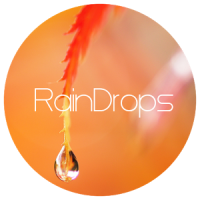 RainDrops Premium Orange Theme