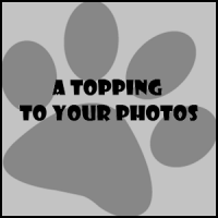 a topping to your photos