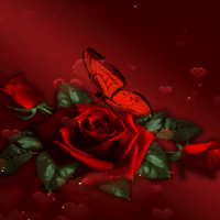 Dark Rose Butterfly LWP