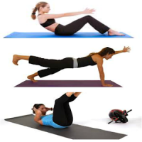 Body Fitness & Exercise