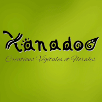 XANADOO