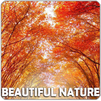 Cool Beautiful NatureWallpaper