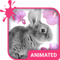 Cute Bunny Animated Keyboard