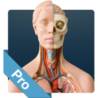 Anatomy Game Anatomicus Pro
