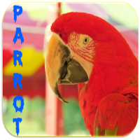 Parrot Sonneries
