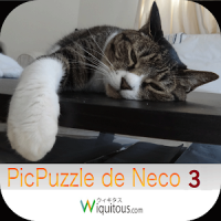 PicPuzzle de Neco 3