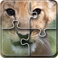 Animals Photo Jigsaw Puzzle for kids & toddlers