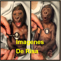 Imagenes de risa