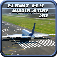 Flight Simulator