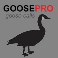 Goose Calls for Hunting