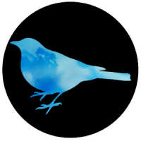 [VR] Blue Bird