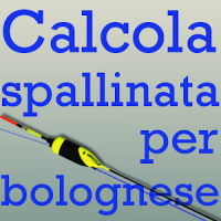 Calcola Spallinata