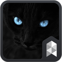 HD Black Jaguar Launcher theme