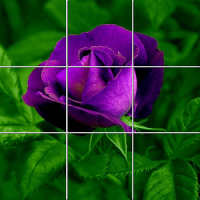 Wonderful Flowers Puzzle