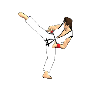 Final Karate (free)