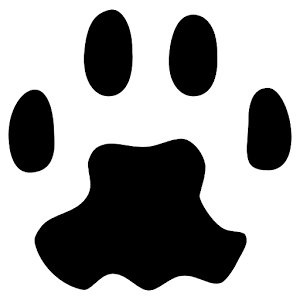 PAW Server for Android