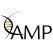 AMP Education Events