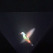 Vyomy 3D Hologram
Hummingbird